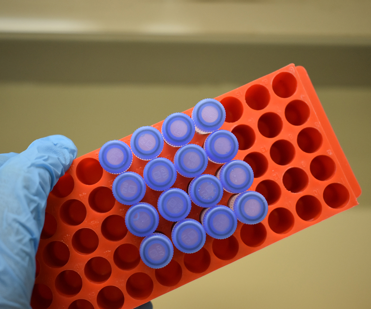 Life Sciences Labor mit Proben